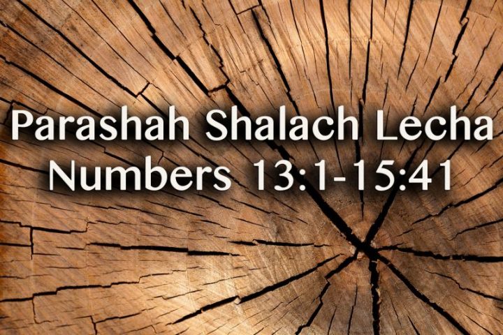 Parashah Shalach Lecha