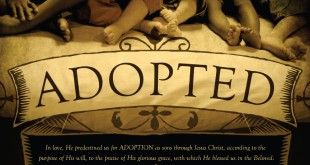 adoption adoption