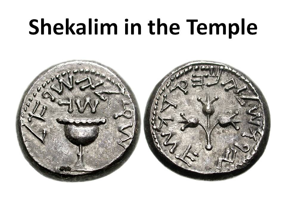 (Shekalim) Shabbat Shekelim Wisdom In Torah Ministries Rico Cortes
