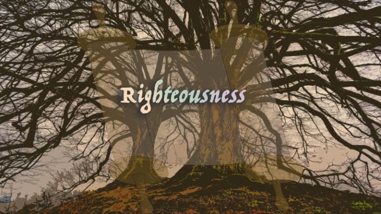 Israel Trees of Righteousness - Wisdom In Torah Ministries - Rico Cortes