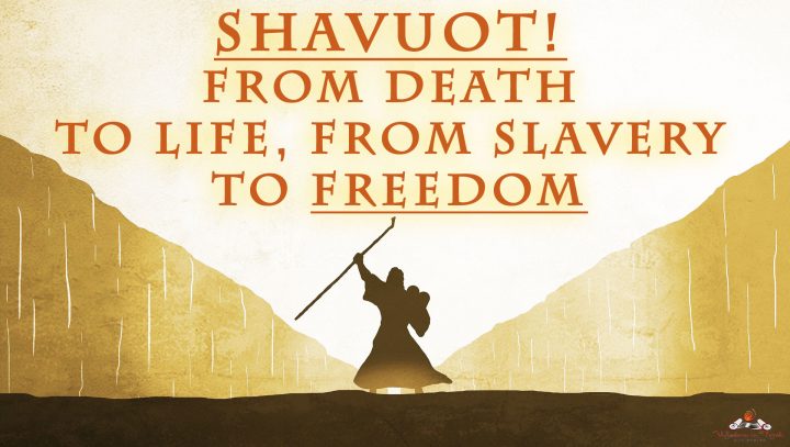 Shavuot-from-death-to-life