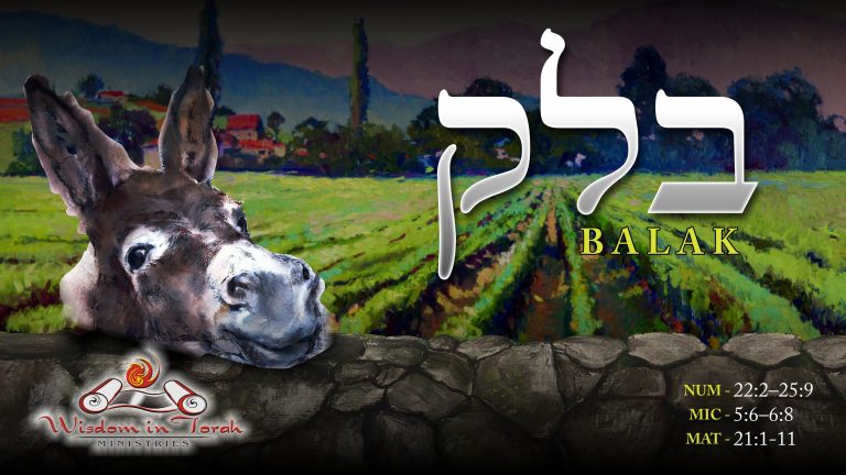 Torah Portion Balak Complete Wisdom In Torah Ministries Rico Cortes