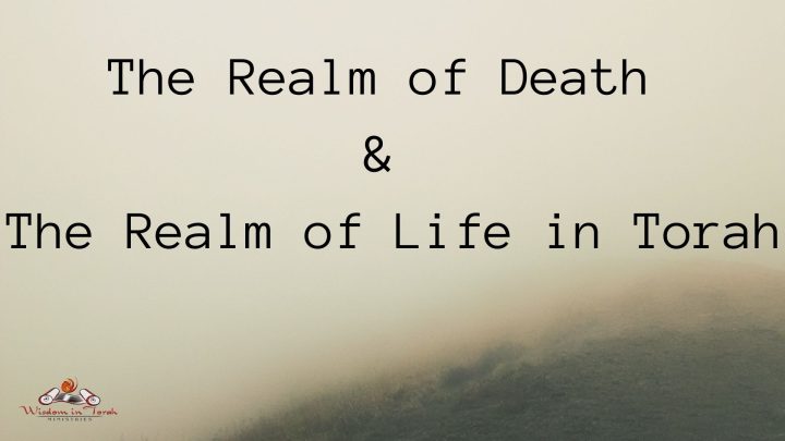 The Realm of Death and the realm of life in torah