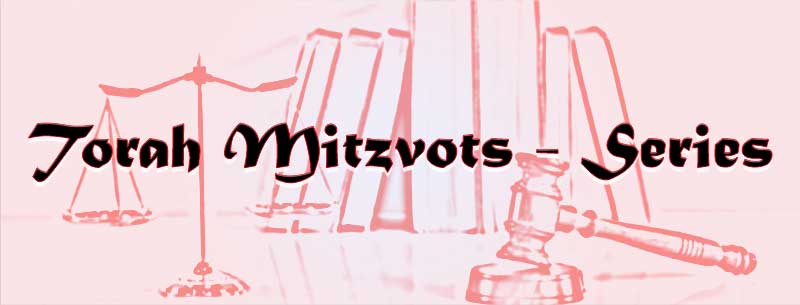 Torah Mitzvots - Series