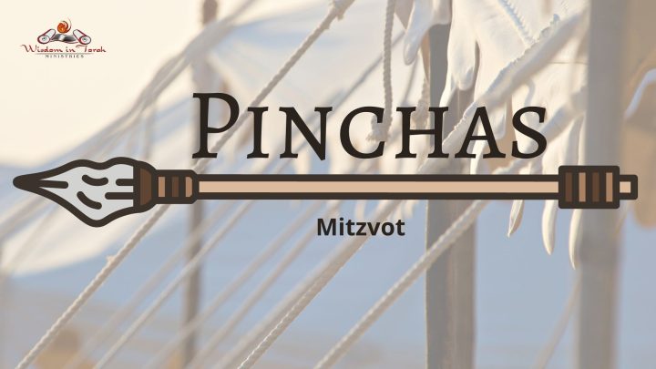 pinjas-mitzvot (1)