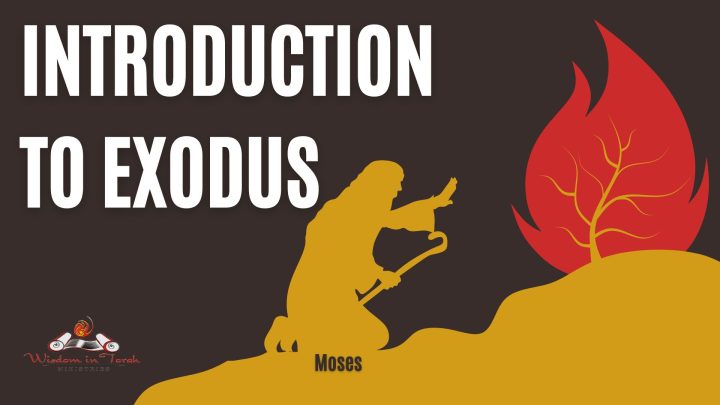 Introduction to EXODUS