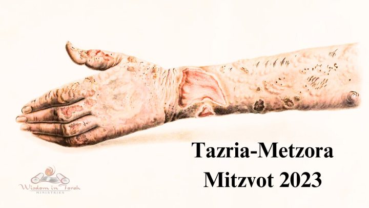 Mitzvot Tzaria and Metzora
