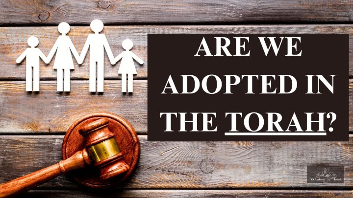 adopted IN TORAH