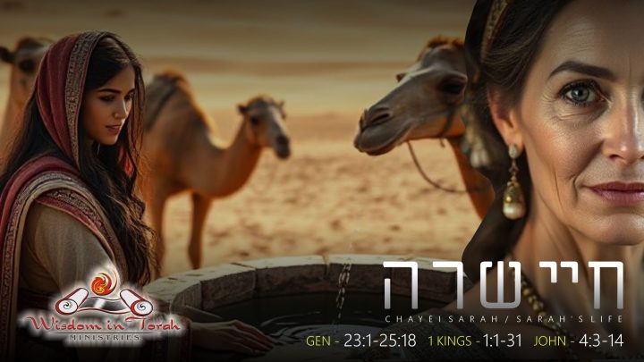 chayei Sarah5786 wt