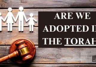 adopted IN TORAH