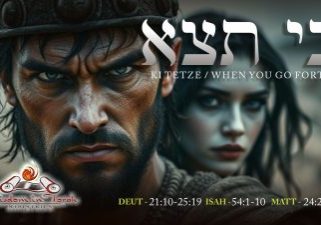 ki tetze-wt