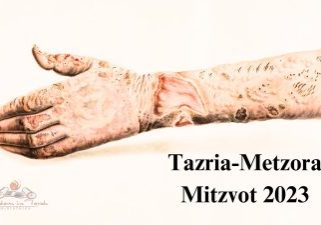 Mitzvot Tzaria and Metzora