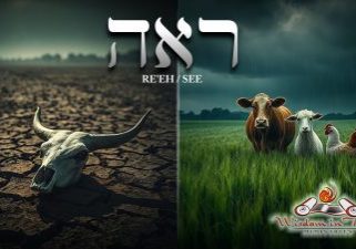 Reeh 5785