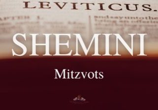 SHEMINI-Mitzvot-2022