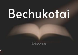 Bechukotai-Mitzvot-2022 (2)